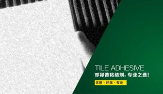 瓷砖铺贴全攻略 邓禄普建材为您指点迷津