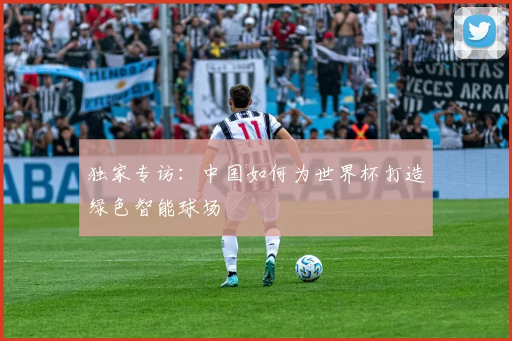 独家专访:中国如何为世界杯打造绿色智能球场