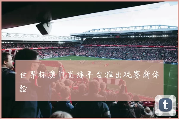 世界杯澳门直播平台推出观赛新体验
