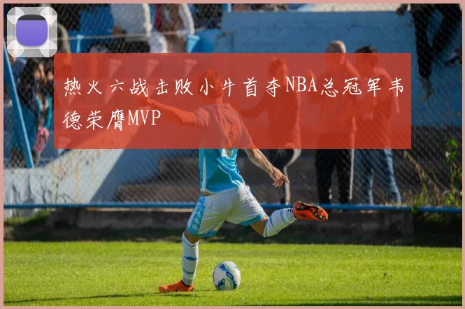 热火六战击败小牛首夺NBA总冠军韦德荣膺MVP