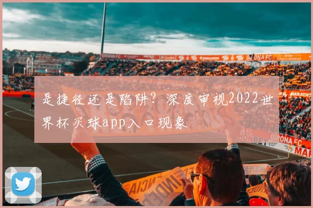 是捷径还是陷阱?深度审视2022世界杯买球app入口现象