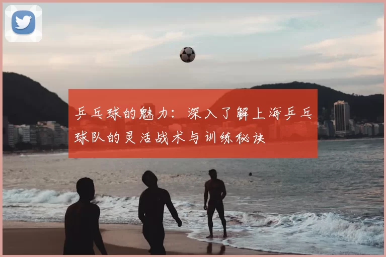 乒乓球的魅力:深入了解上海乒乓球队的灵活战术与训练秘诀