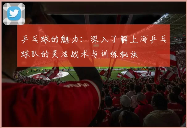 乒乓球的魅力：深入了解上海乒乓球队的灵活战术与训练秘诀