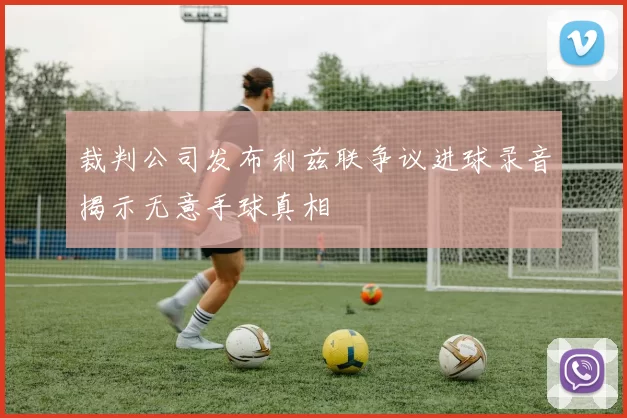 裁判公司发布利兹联争议进球录音揭示无意手球真相