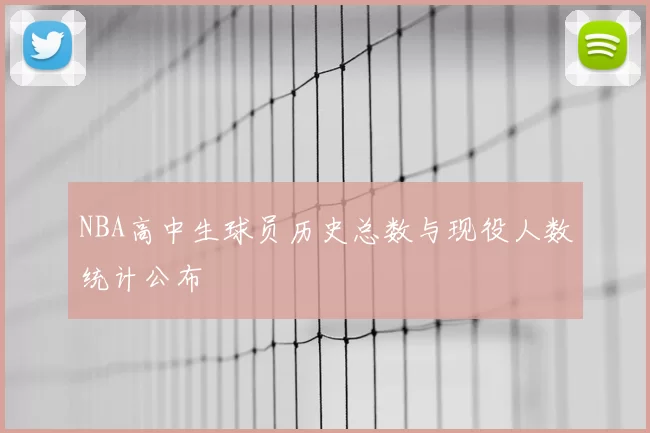 NBA高中生球员历史总数与现役人数统计公布